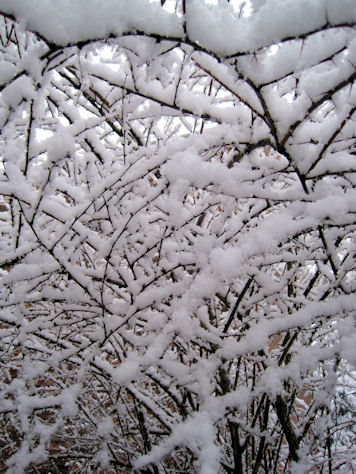 snow in Liverpool