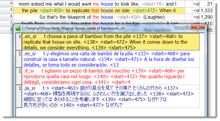 translation transcripts of a video file