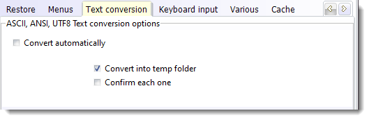 auto_text_conversion_options