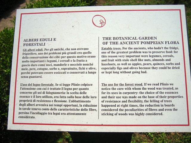 text seen at Pompei